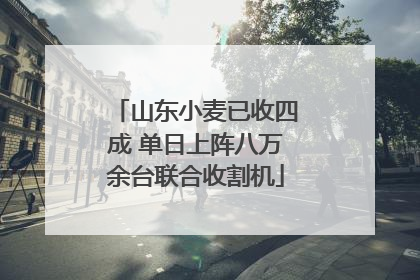 山东小麦已收四成 单日上阵八万余台联合收割机