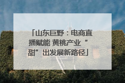 山东巨野：电商直播赋能 黄桃产业“甜”出发展新路径