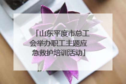 山东平度市总工会举办职工主题应急救护培训活动