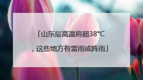 山东最高温将超38°C，这些地方有雷雨或阵雨
