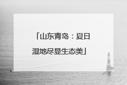 山东青岛：夏日湿地尽显生态美