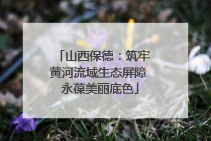 山西保德：筑牢黄河流域生态屏障 永葆美丽底色