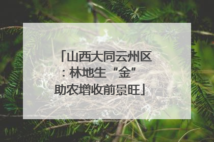 山西大同云州区：林地生“金” 助农增收前景旺