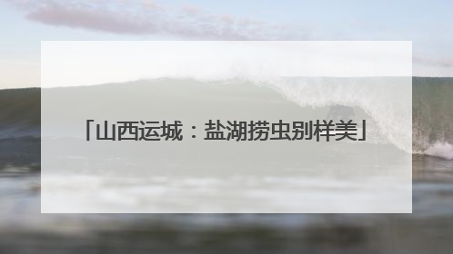 山西运城：盐湖捞虫别样美