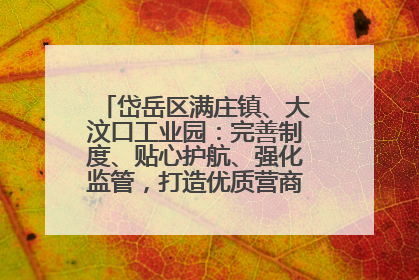 岱岳区满庄镇、大汶口工业园：完善制度、贴心护航、强化监管，打造优质营商“强磁场”