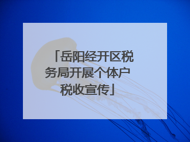 岳阳经开区税务局开展个体户税收宣传