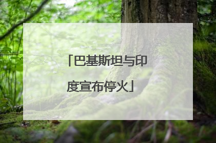 巴基斯坦与印度宣布停火