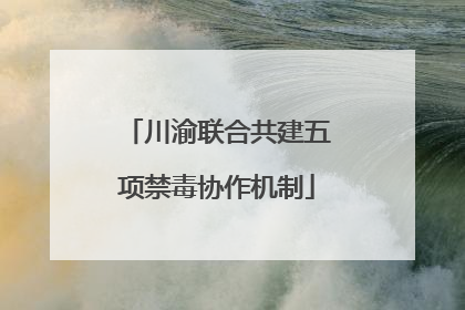 川渝联合共建五项禁毒协作机制