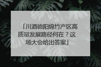 川酒德阳绵竹产区高质量发展路径何在？这场大会给出答案