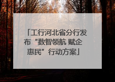 工行河北省分行发布“数智领航 赋企惠民”行动方案