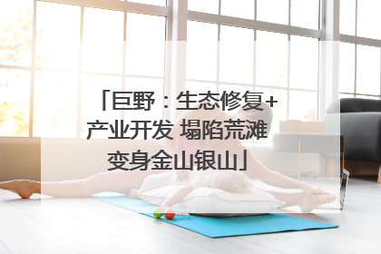 巨野：生态修复+产业开发 塌陷荒滩变身金山银山