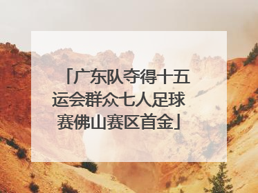 广东队夺得十五运会群众七人足球赛佛山赛区首金