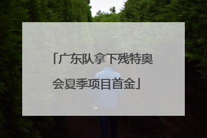 广东队拿下残特奥会夏季项目首金