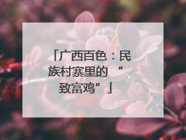 广西百色：民族村寨里的 “致富鸡”