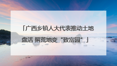 广西乡镇人大代表推动土地盘活 撂荒地变“致富园”