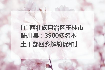 广西壮族自治区玉林市陆川县：3900多名本土干部回乡解纷促和