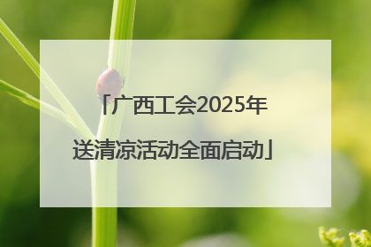 广西工会2025年送清凉活动全面启动