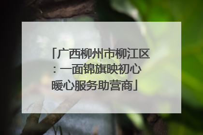 广西柳州市柳江区：一面锦旗映初心 暖心服务助营商