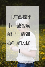 广西桂平市：数智赋能“一窗通办”解民忧