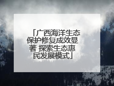 广西海洋生态保护修复成效显著 探索生态惠民发展模式