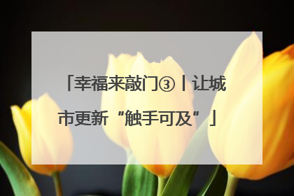 幸福来敲门③丨让城市更新“触手可及”