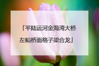 平陆运河金海湾大桥左幅桥面格子梁合龙