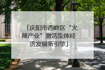 庆阳市西峰区“火辣产业”激活集体经济发展新引擎