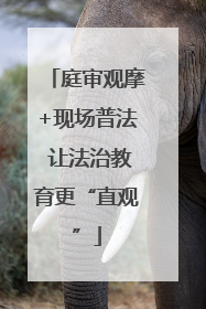 庭审观摩+现场普法 让法治教育更“直观”