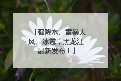 强降水、雷暴大风、冰雹，黑龙江最新发布！