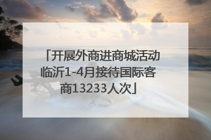 开展外商进商城活动 临沂1-4月接待国际客商13233人次