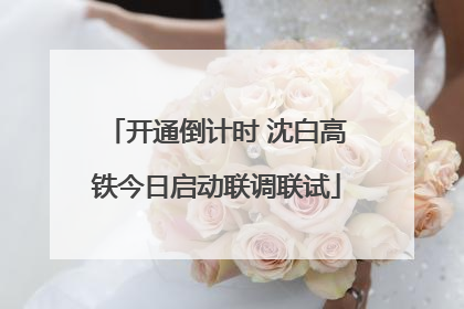 开通倒计时 沈白高铁今日启动联调联试