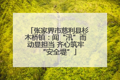 张家界市慈利县杉木桥镇：闻“汛”而动显担当 齐心筑牢“安全堤”
