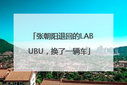 张朝阳退回的LABUBU，换了一辆车