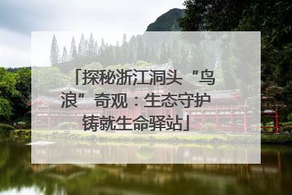 探秘浙江洞头“鸟浪”奇观：生态守护铸就生命驿站