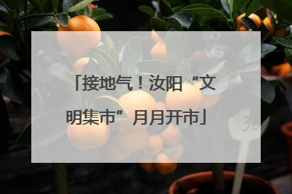接地气！汝阳“文明集市”月月开市