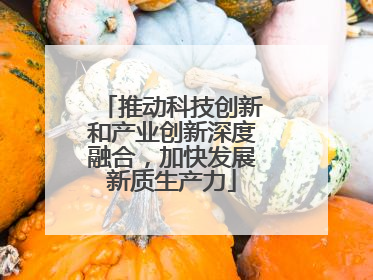 推动科技创新和产业创新深度融合，加快发展新质生产力
