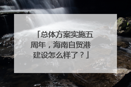 总体方案实施五周年，海南自贸港建设怎么样了？