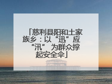 慈利县阳和土家族乡：以“迅”应“汛” 为群众撑起安全伞