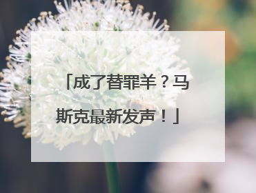 成了替罪羊？马斯克最新发声！