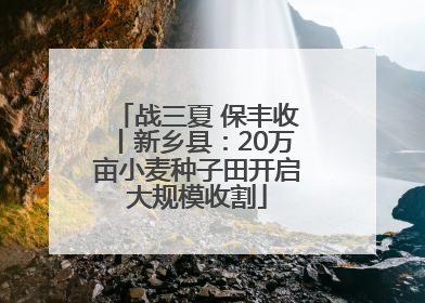 战三夏 保丰收丨新乡县：20万亩小麦种子田开启大规模收割