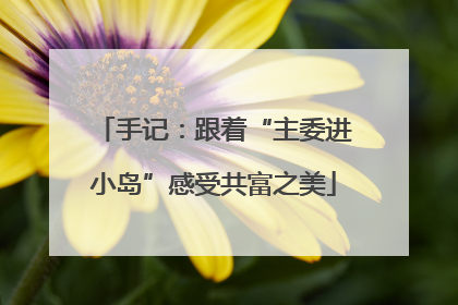 手记：跟着“主委进小岛”感受共富之美