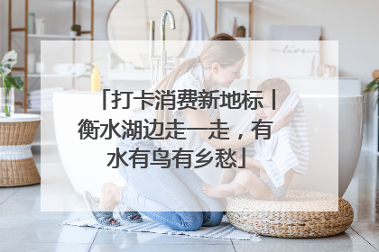 打卡消费新地标丨衡水湖边走一走，有水有鸟有乡愁