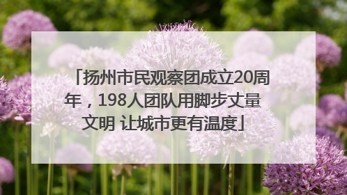 扬州市民观察团成立20周年，198人团队用脚步丈量文明 让城市更有温度