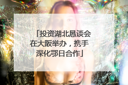 投资湖北恳谈会在大阪举办，携手深化鄂日合作