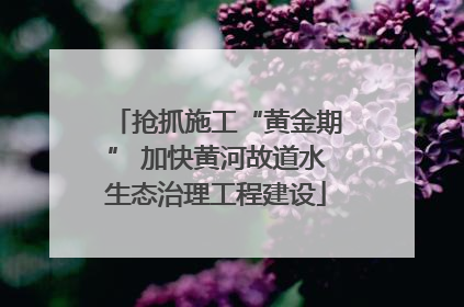 抢抓施工“黄金期” 加快黄河故道水生态治理工程建设