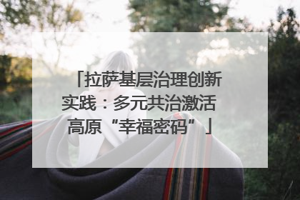 拉萨基层治理创新实践：多元共治激活高原“幸福密码”