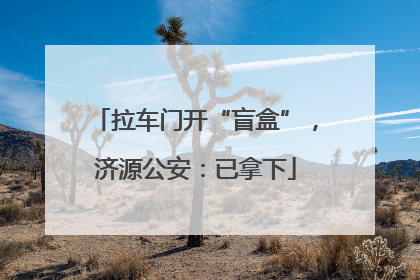 拉车门开“盲盒”，济源公安：已拿下