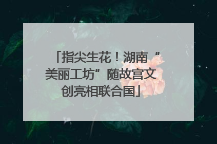 指尖生花！湖南“美丽工坊”随故宫文创亮相联合国