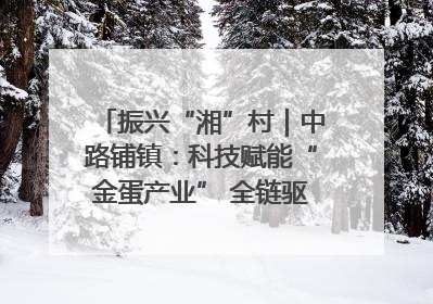 振兴“湘”村｜中路铺镇：科技赋能“金蛋产业” 全链驱动乡村振兴
