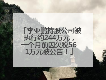 李亚鹏持股公司被执行约244万元，一个月前因欠税561万元被公告！